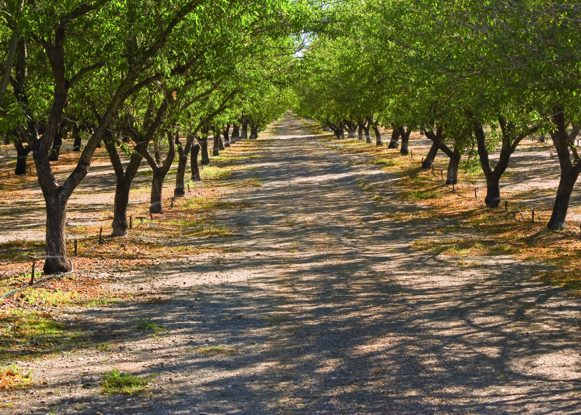 California's Water Dilemma Part 2: Water [Data] Scarcity