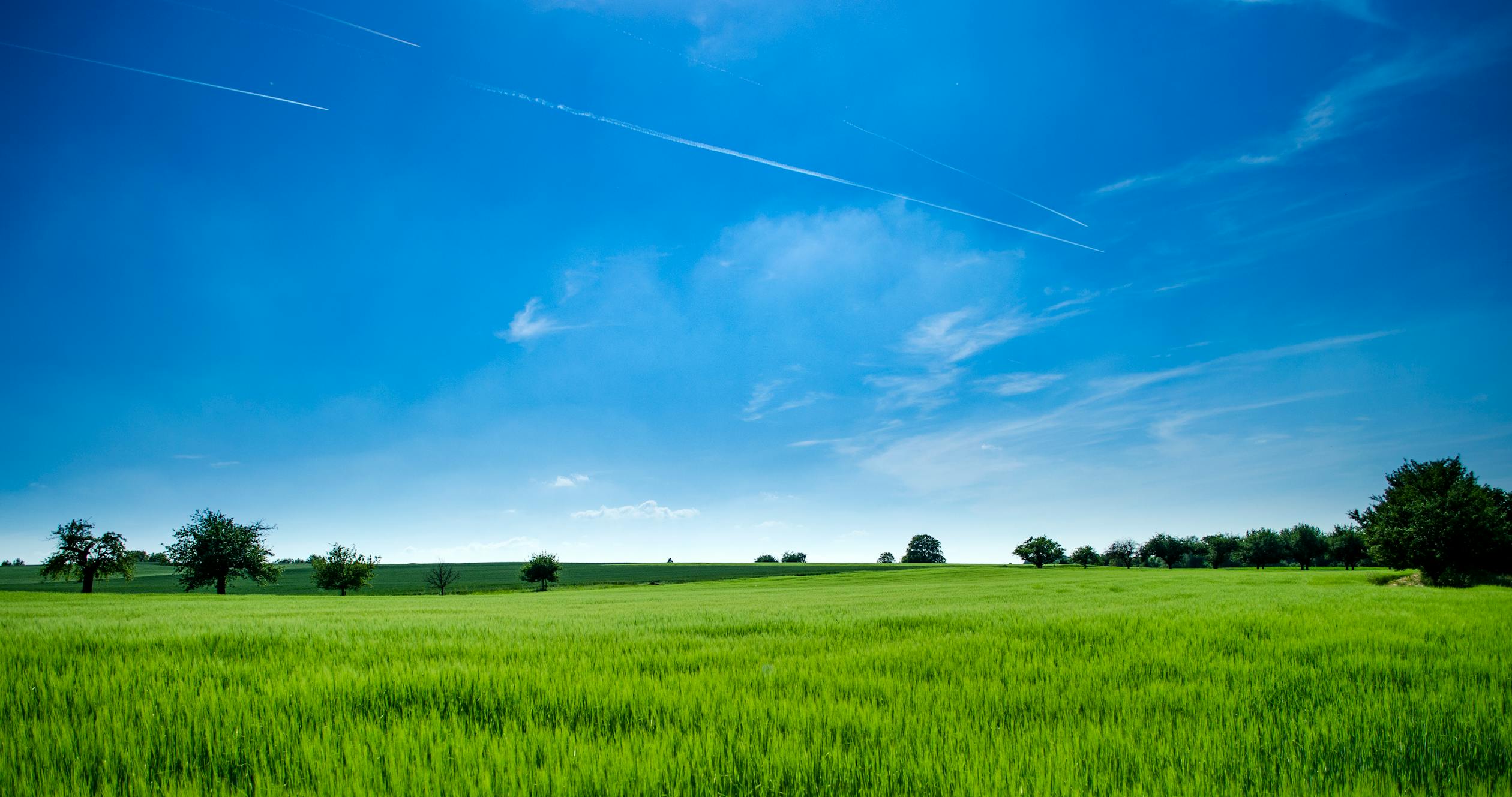 Decarbonizing Agriculture Part 2: How to Reduce Agricultural GHG Emissions